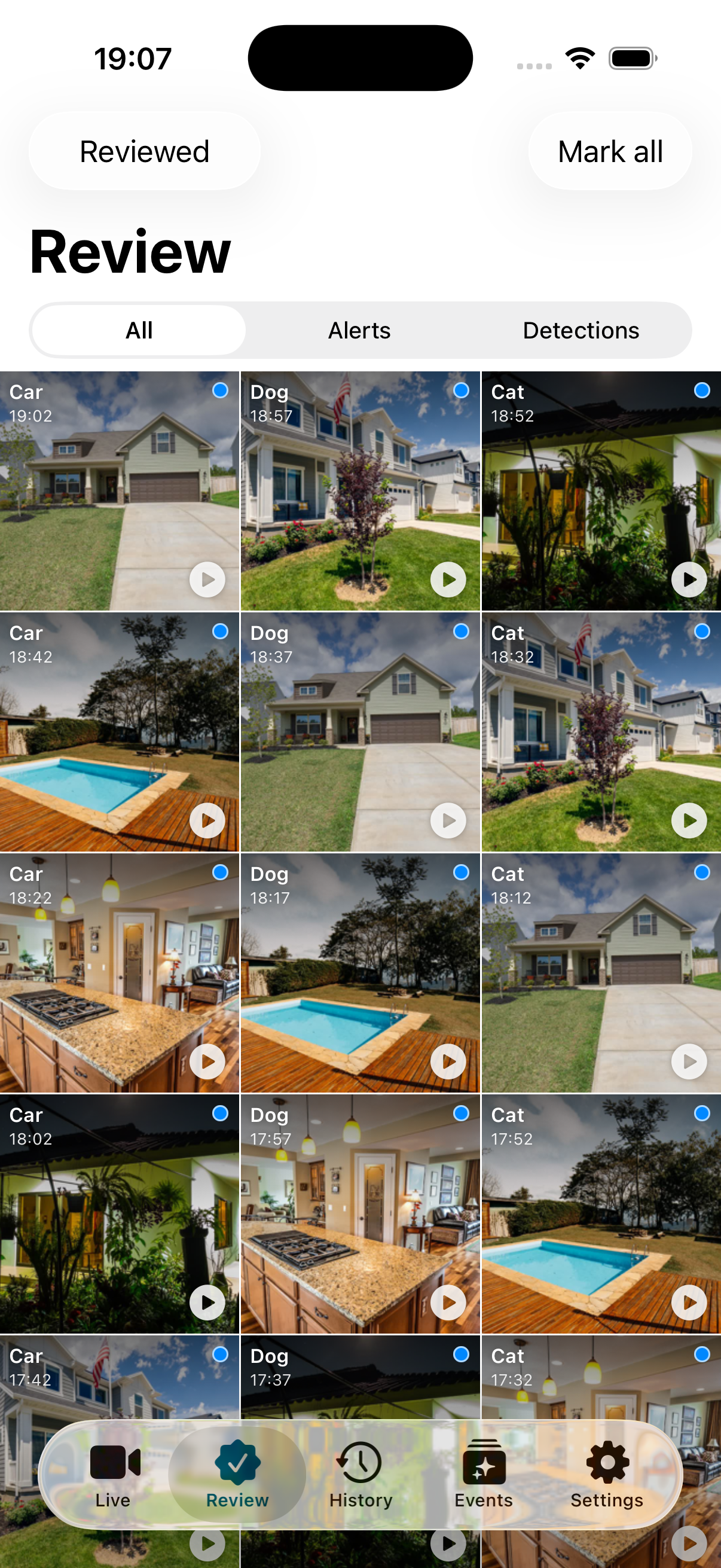 Home review grid of detections