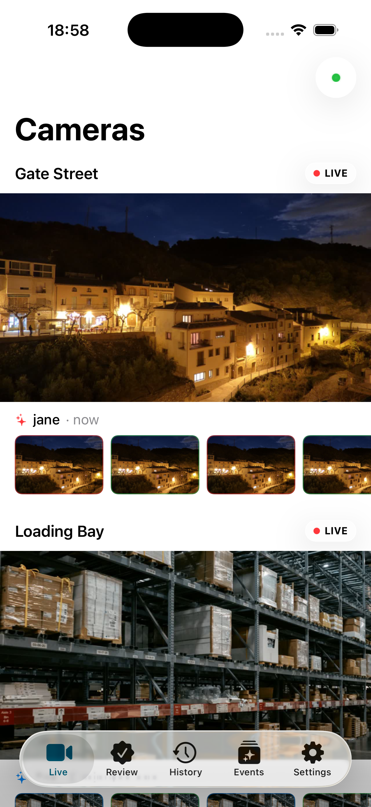 Business live camera grid