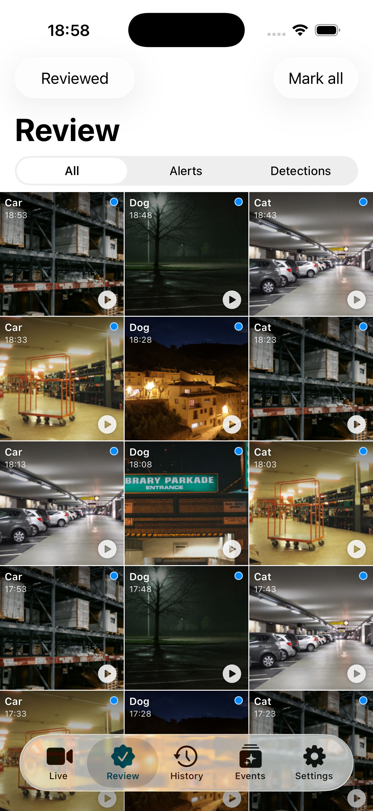Business review grid of detections